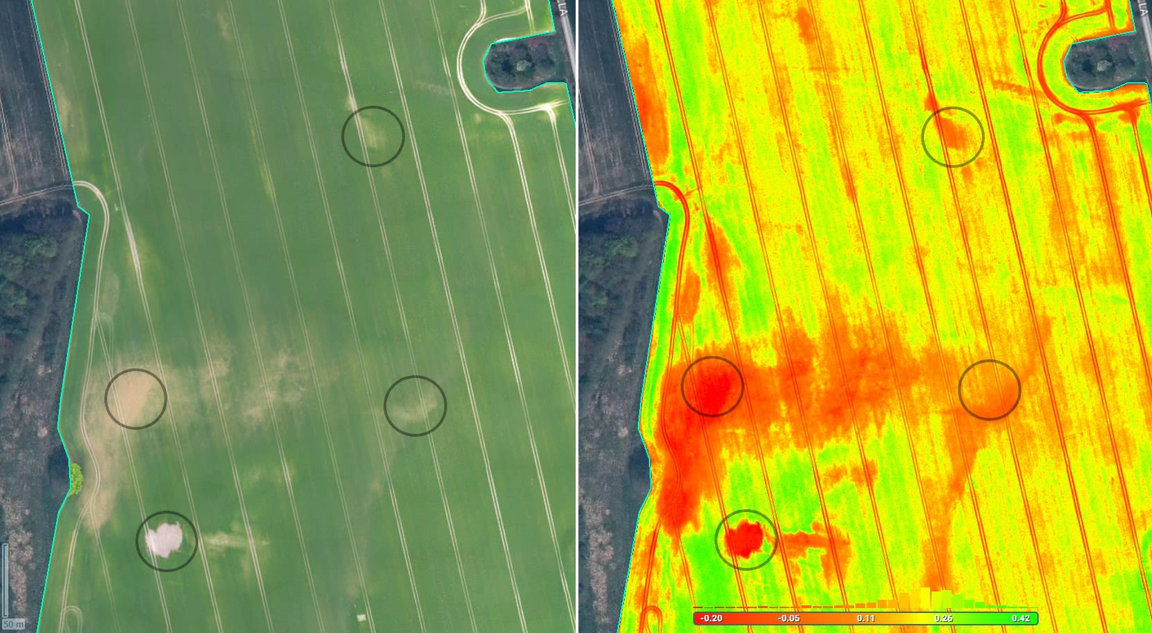 3D Photogrammetry Image 4