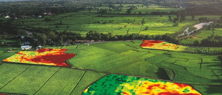 3D Photogrammetry Image 5